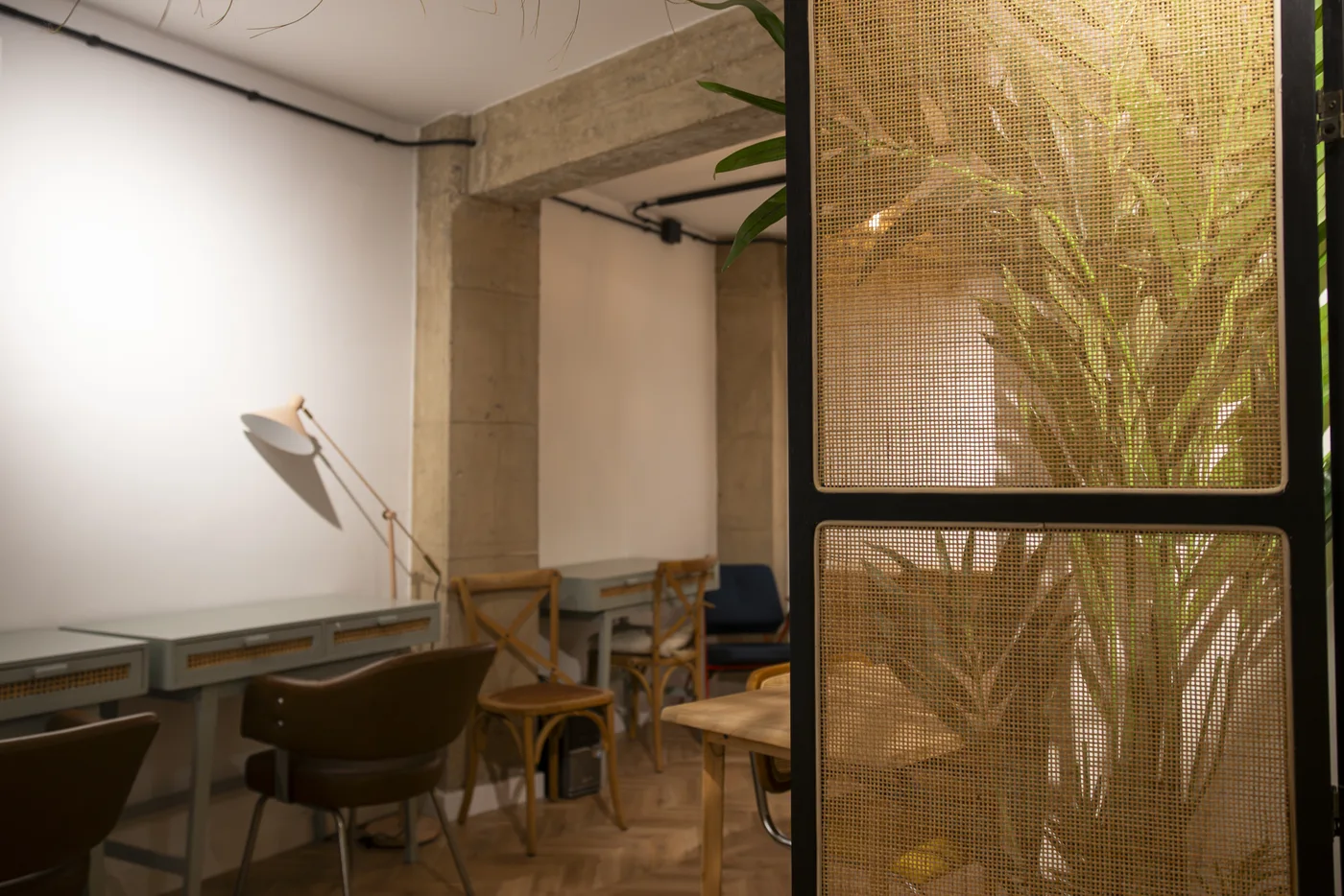 Espacio de trabajo de Clínica Unitas con plantas